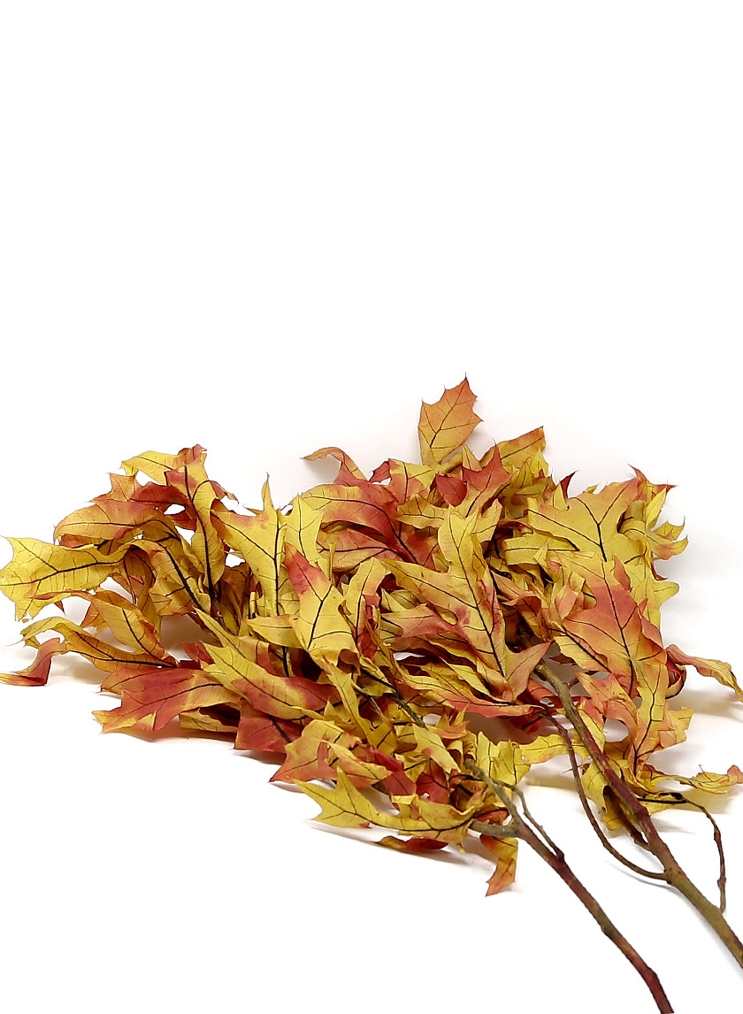 Transparent Autumn Oak Leaves, 1.0 lbs. Decor Jamali-garden