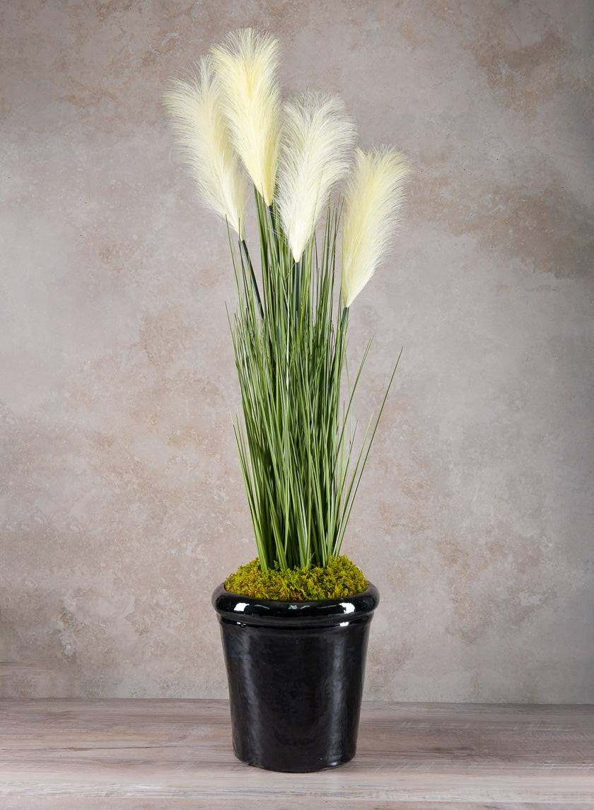Rolled Rim Clay &amp; Ceramic Planter, Mesquite Black Decor Jamali-garden