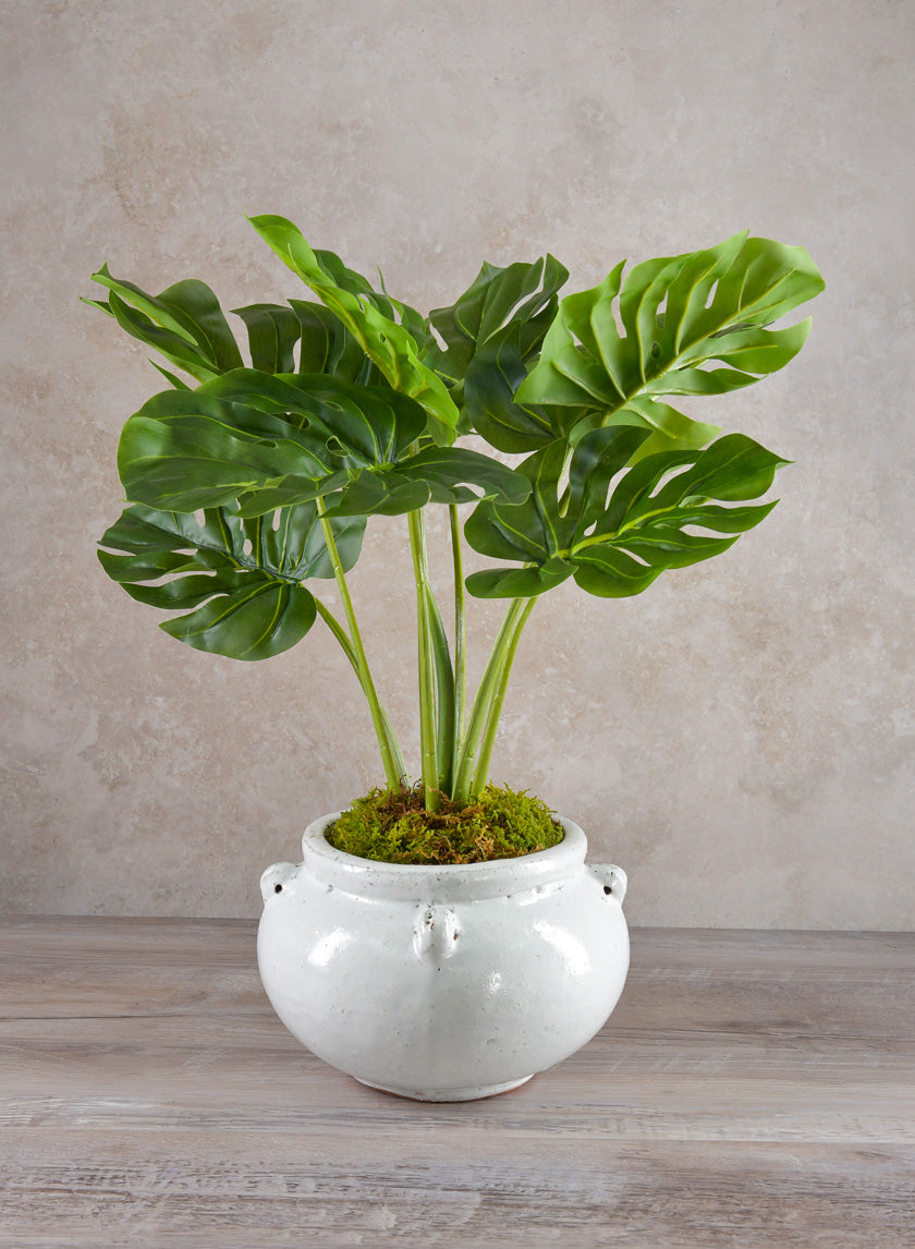Jakarta Bowl Clay &amp; Ceramic Planters, Cloud White Decor Jamali-garden