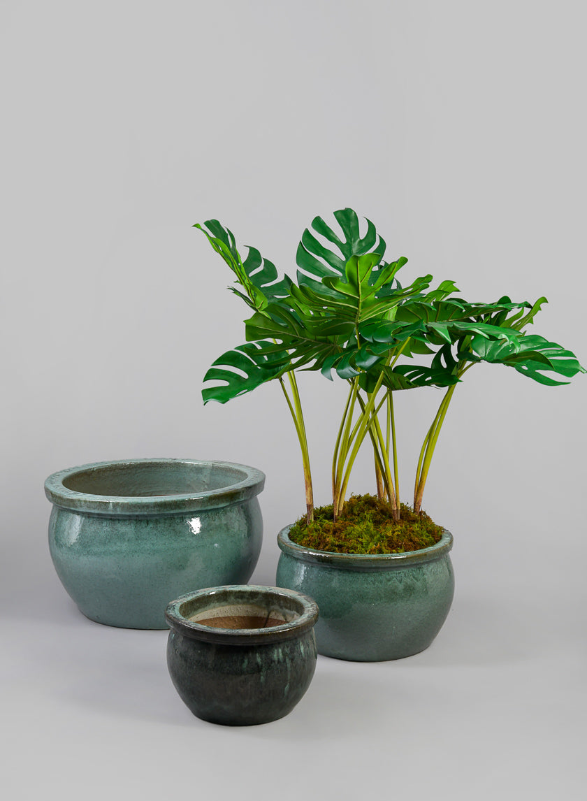 12in Low Bowl Planter, Bali Jade Decor Jamali-garden