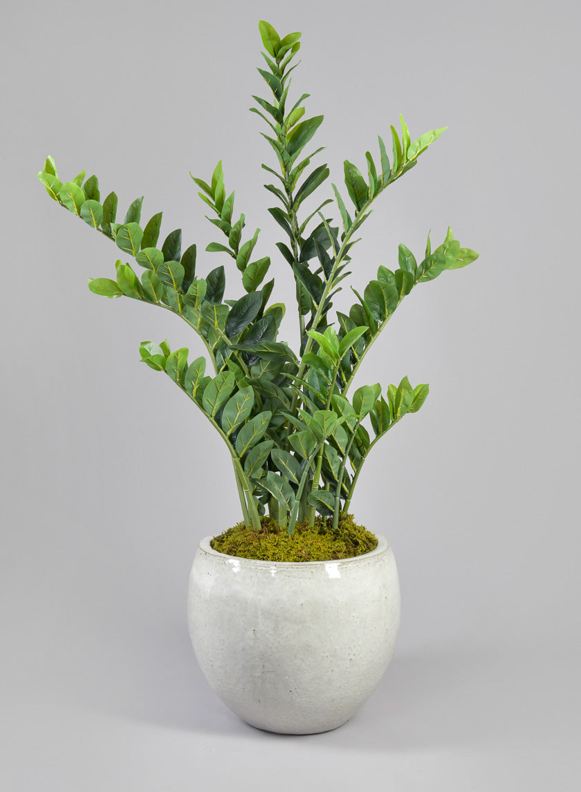 42in Tall Zanzibar Plant Decor Jamali-garden