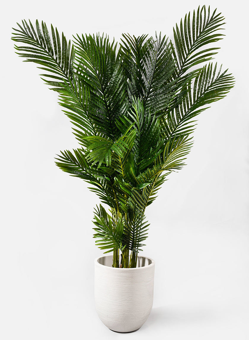 67in Tall Areca Butterfly Palm Decor Jamali-garden