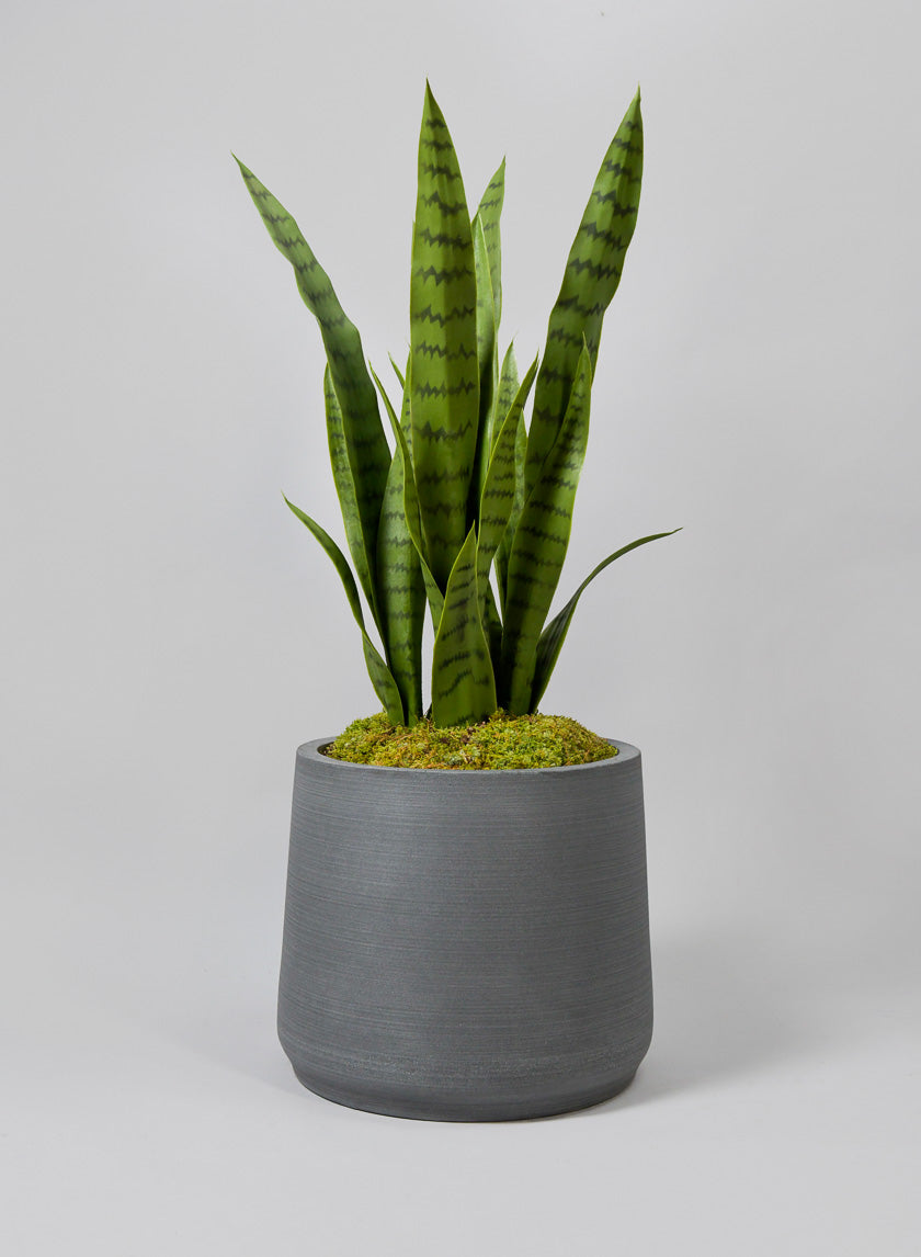 Alaric Gray Fiber Planter Decor Jamali-garden Gray 11.5in Tall EACH
