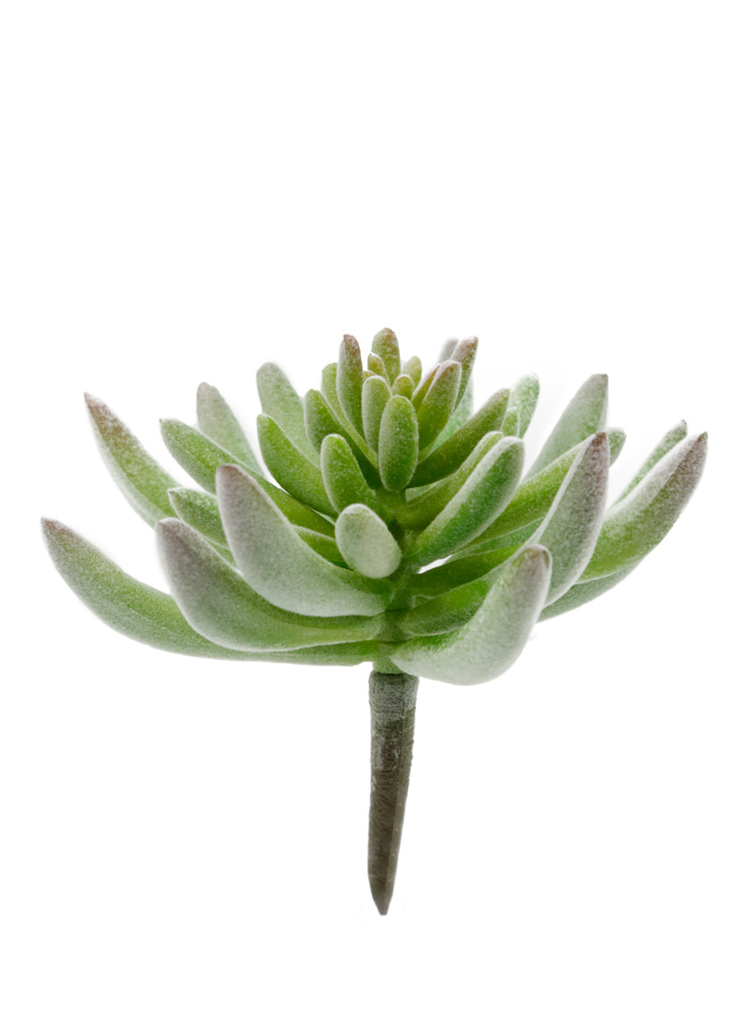 5in Long Finger Flocked Succulent Decor Jamali-garden
