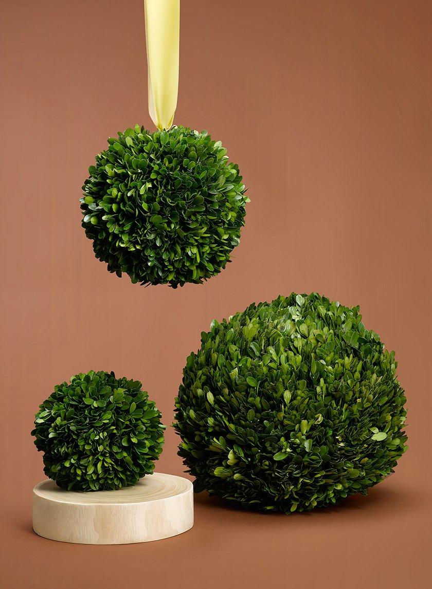 Boxwood Balls Jamali-garden