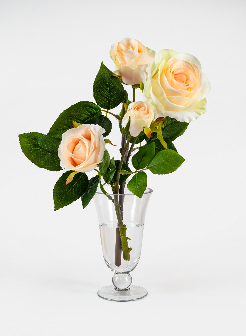 Vienna Clear Glass Urns Decor Jamali-garden