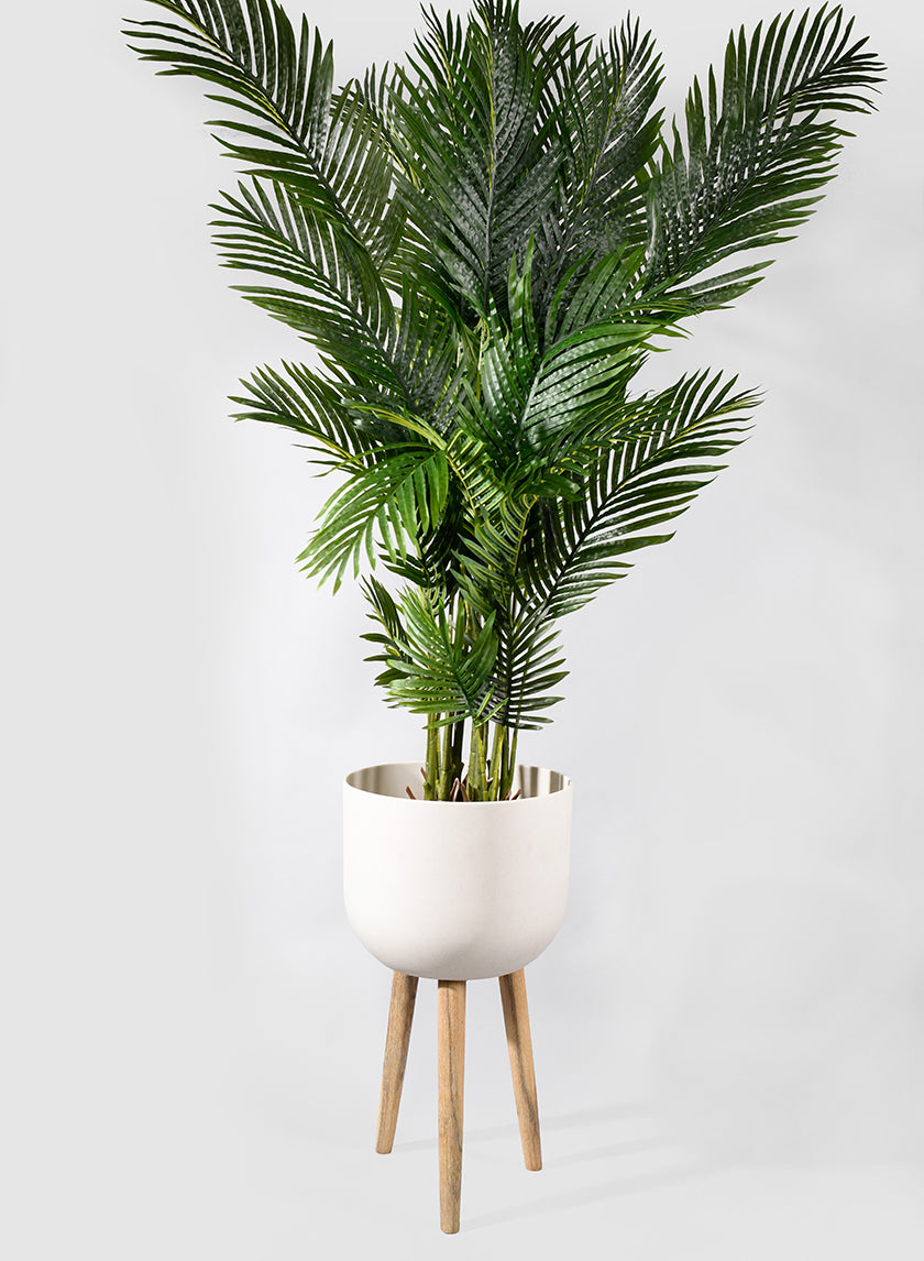 67in Tall Areca Butterfly Palm Decor Jamali-garden