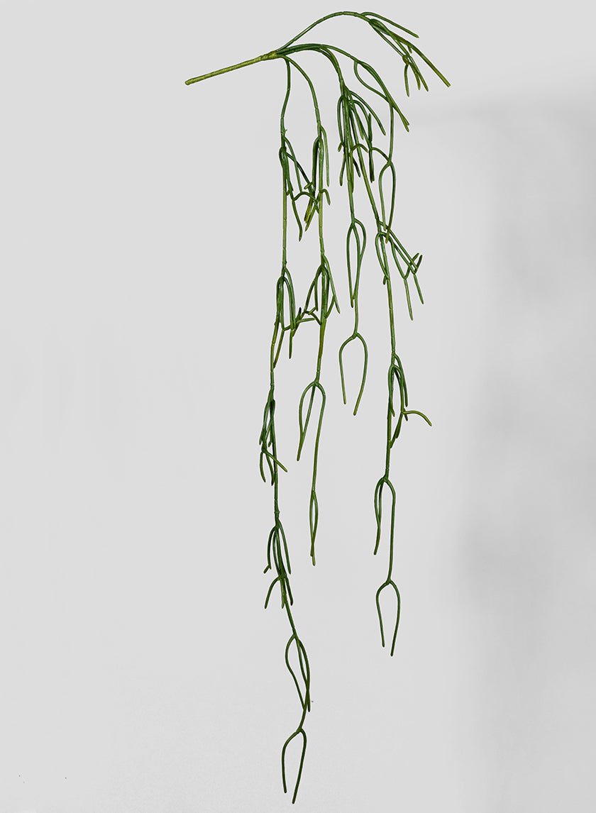 45in Long Pencil Cactus Vine Decor Jamali-garden