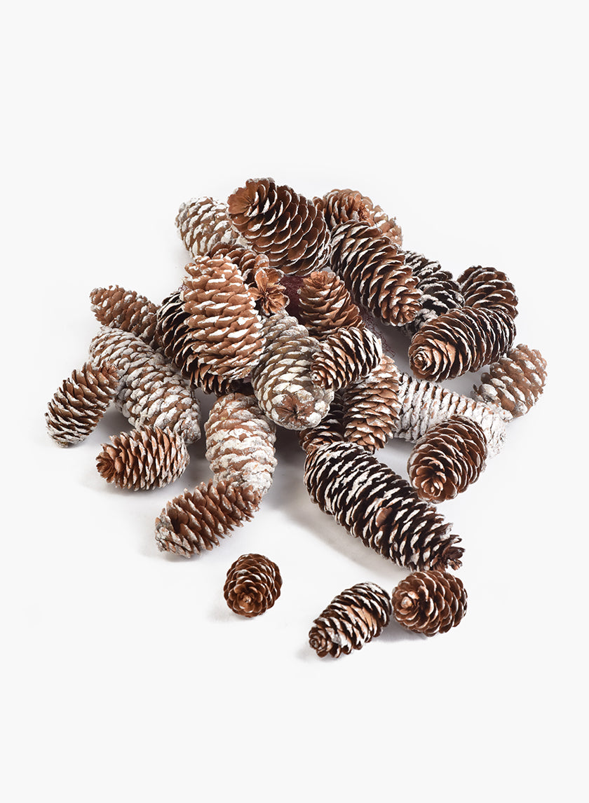 2.50in / 5in Long Glitter Frost Natural Pine Cones Bag Decor Jamali-garden