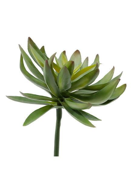 7 1/2in Long Chick Succulent Pick Decor Jamali-garden