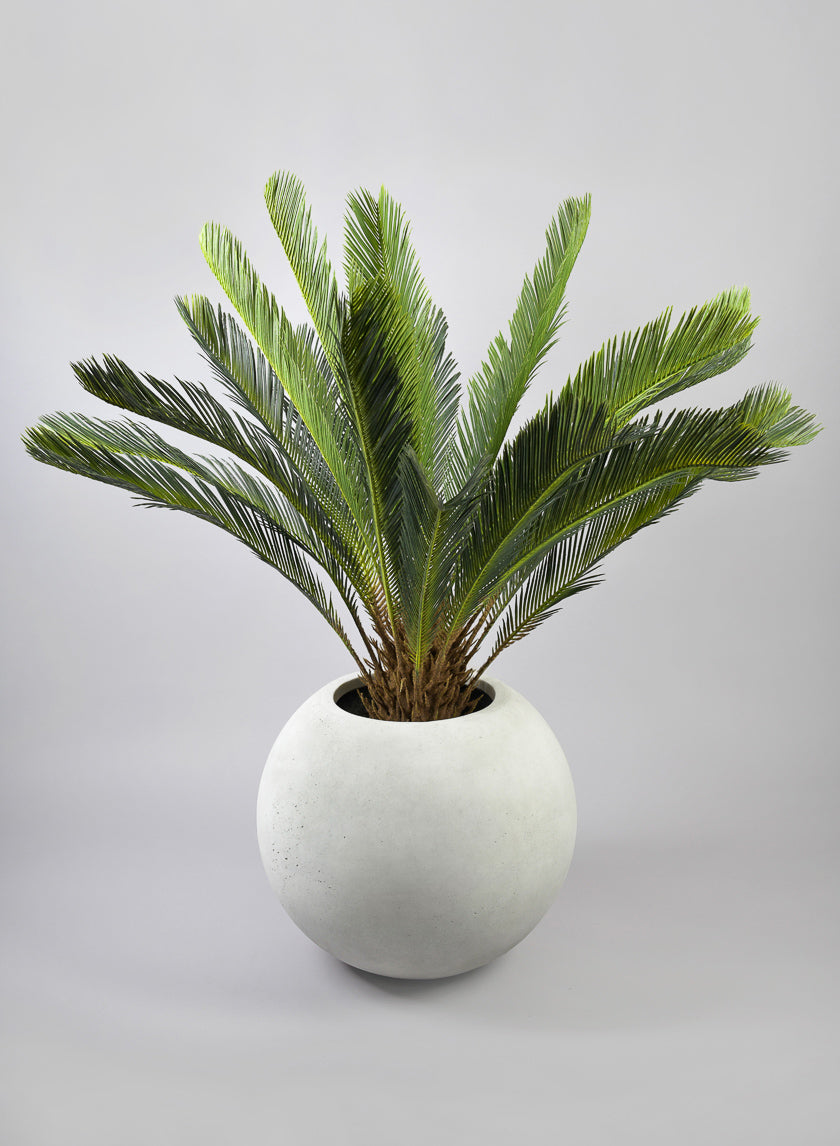 20in Wide Rivera Lava Concrete Bone White Bowl Planter Decor Jamali-garden