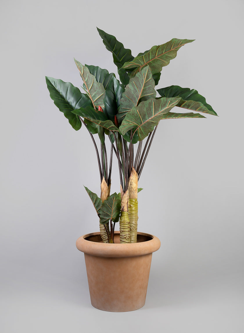 Chino Bevelled Edge Lava Concrete Terracotta Look Pot Decor Jamali-garden