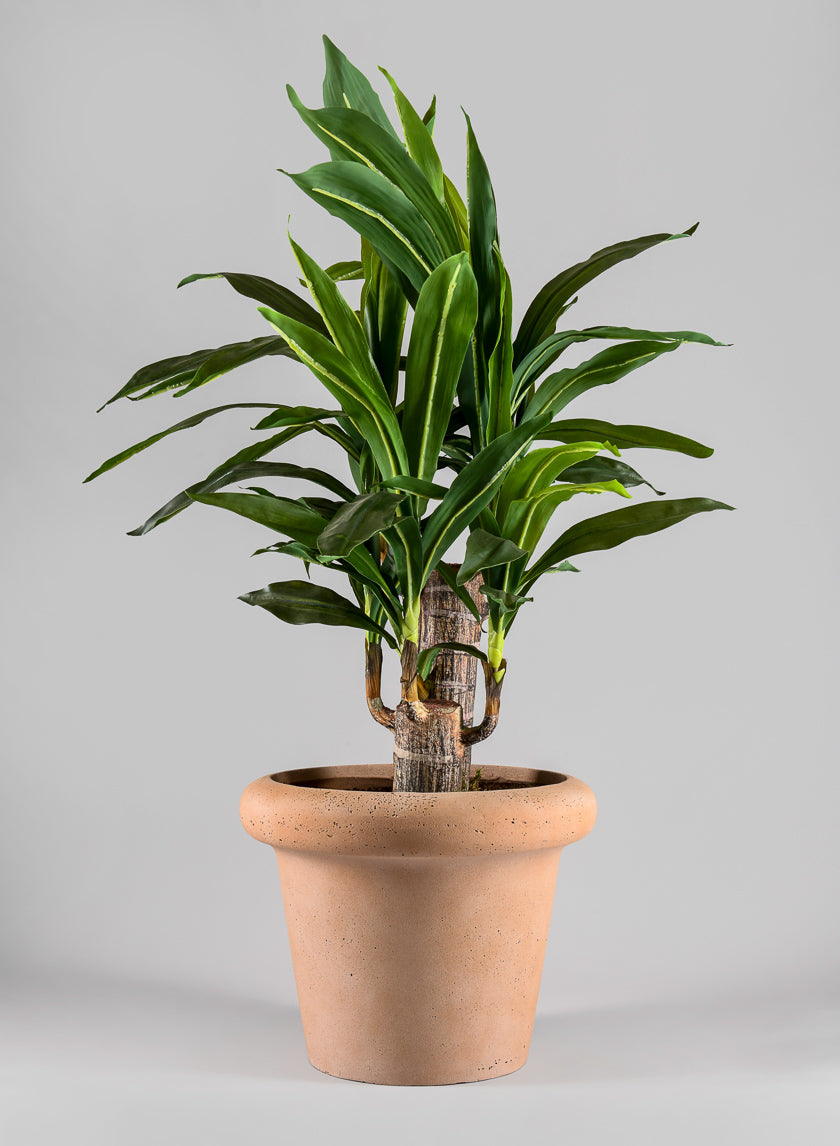 Chino Bevelled Edge Lava Concrete Terracotta Look Pot Decor Jamali-garden
