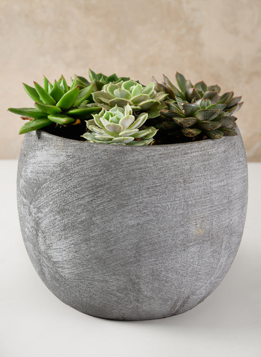 Iquitos Venetian Grey Ceramic Pot Decor Jamali-garden