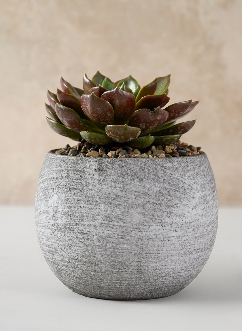 Iquitos Venetian Grey Ceramic Pot Decor Jamali-garden