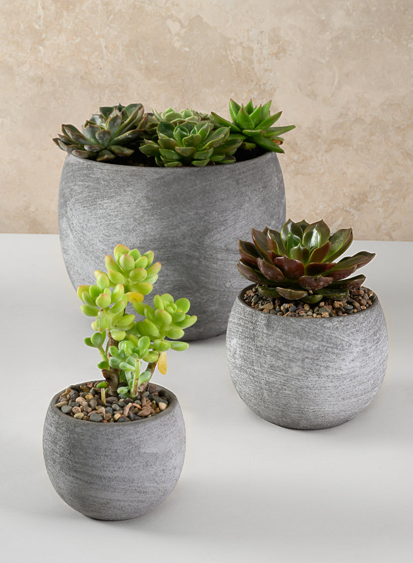3in Tall Iquitos Venetian Grey Ceramic Mini Pot, Set of 6 Decor Jamali-garden