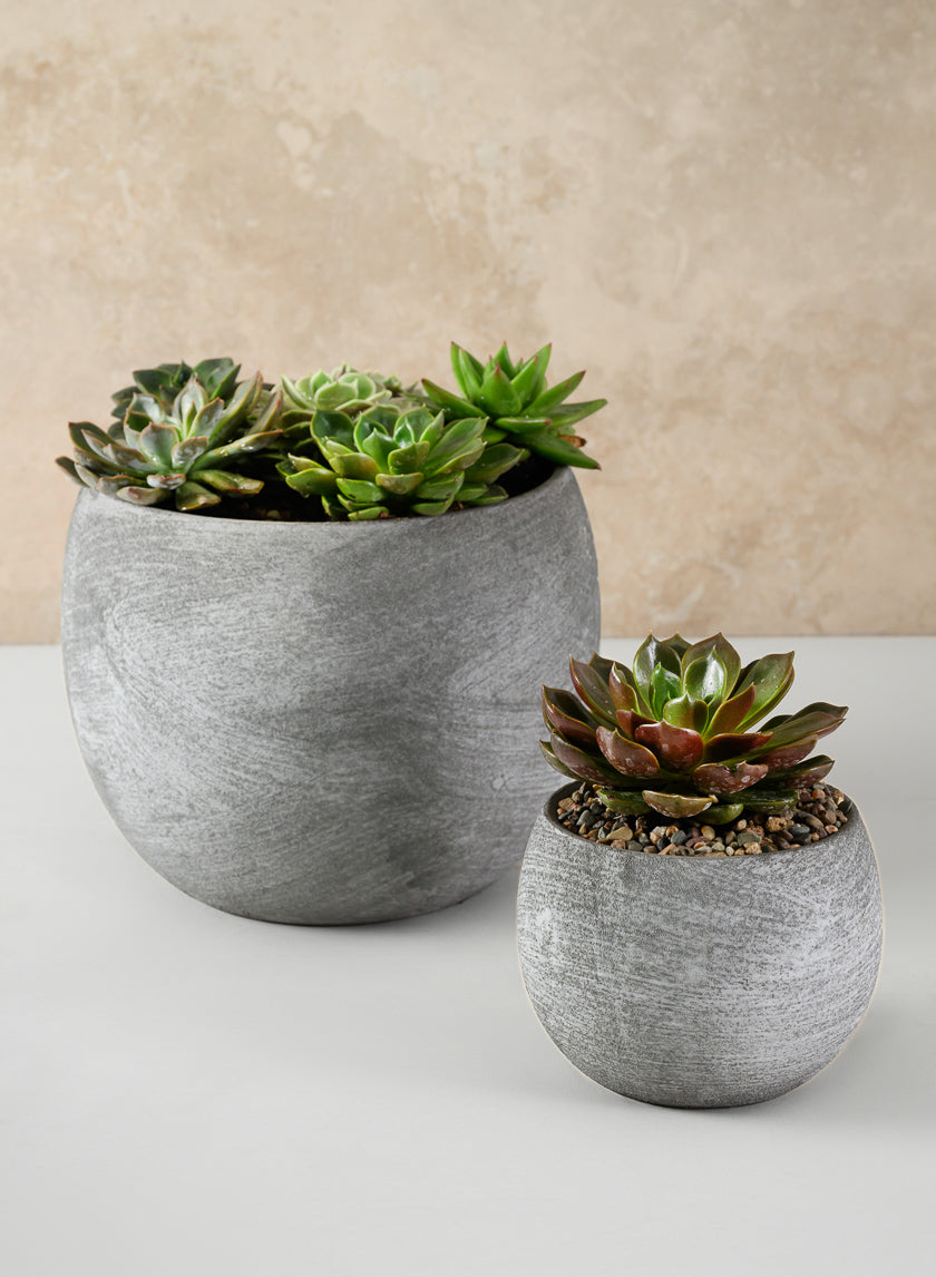 Iquitos Venetian Grey Ceramic Pot Decor Jamali-garden