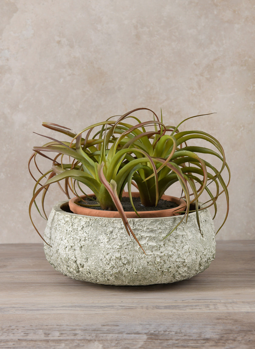 Mesquite Chalk Stone Moss Green Low Bowl Decor Jamali-garden 15.5in Wide EACH