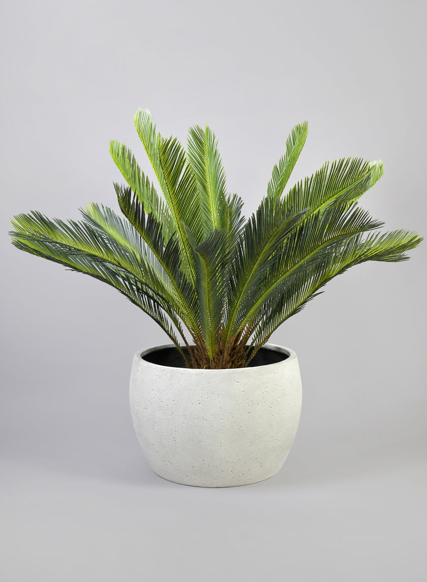 14in Tall Santa Fe Sand Rock Antique White Low Planter, Large Decor Jamali-garden