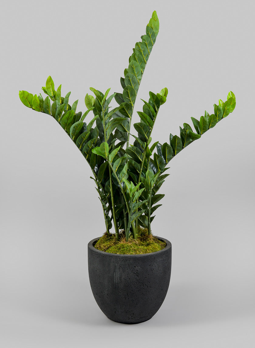 42in Tall Zanzibar Plant Decor Jamali-garden