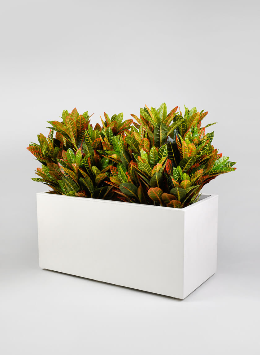 Millennium Pearl Flower Box Decor Jamali-garden