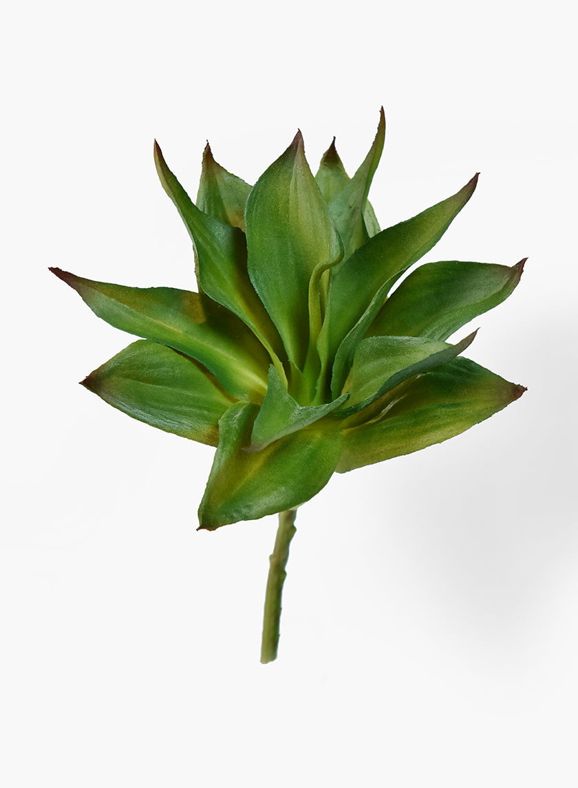 10in Long Dracaena Leaf Pick Decor Jamali-garden