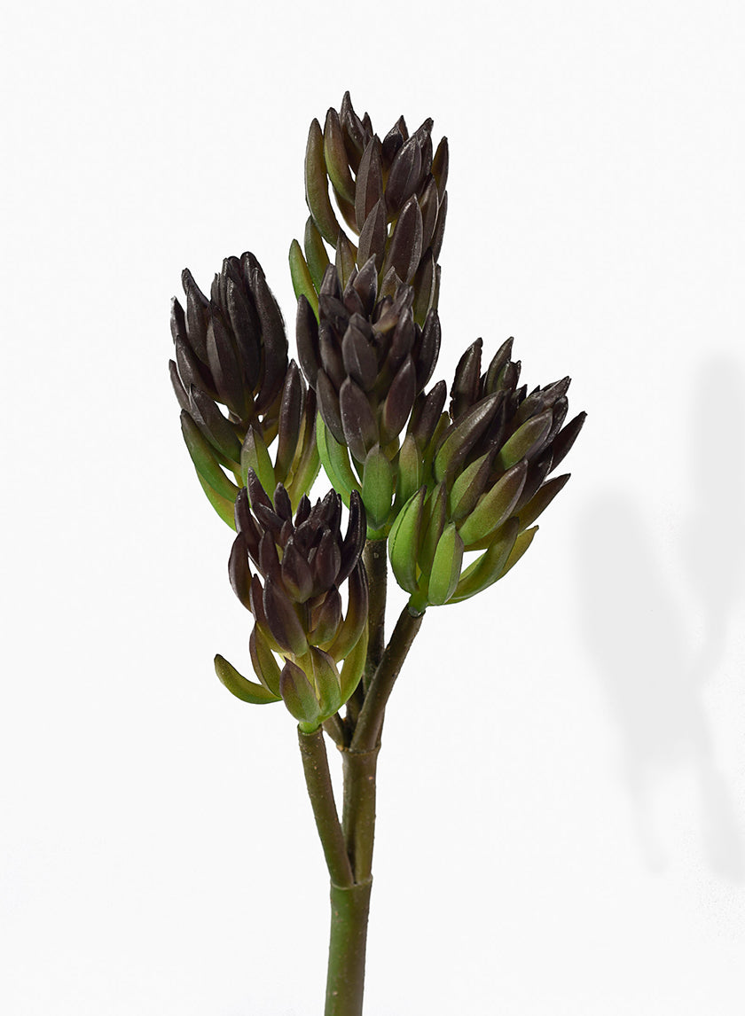14in Long Soft Succulent Pick Decor Jamali-garden