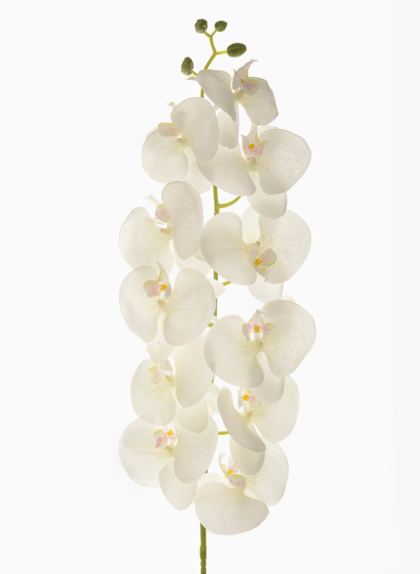 55in Long Frost Glitter White Phalaenopsis Orchid Decor Jamali-garden