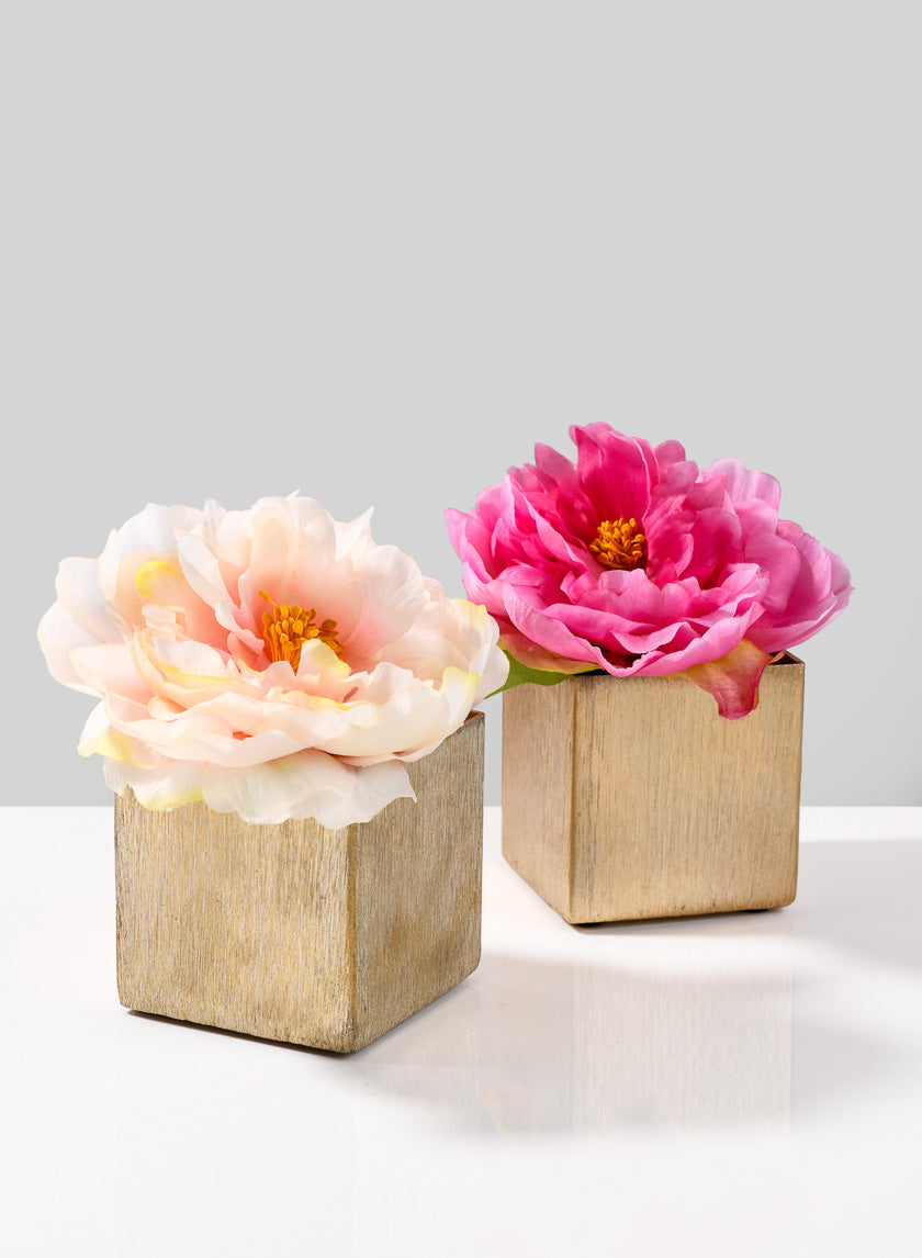 3in Cube Gold Vase Decor Jamali-garden