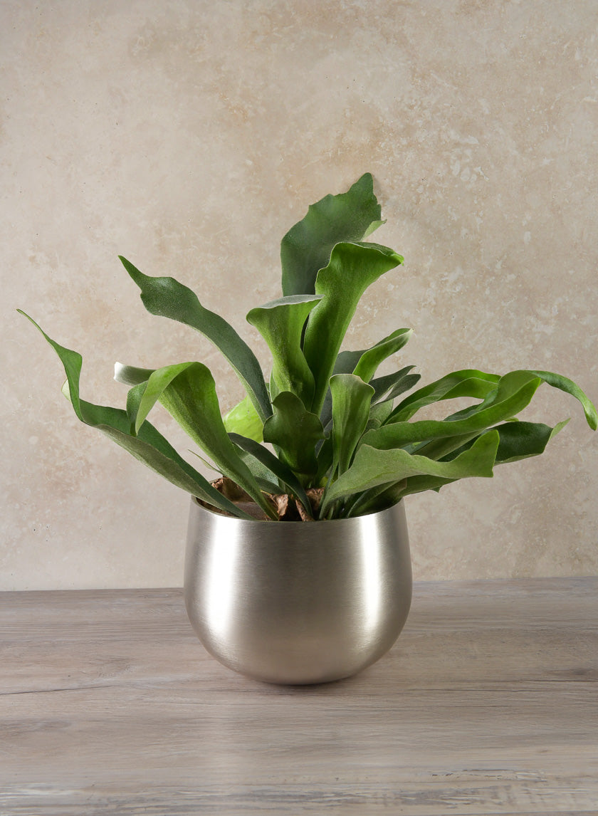7in Tall Araami Matte Silver Aluminum Bowl Decor Jamali-garden