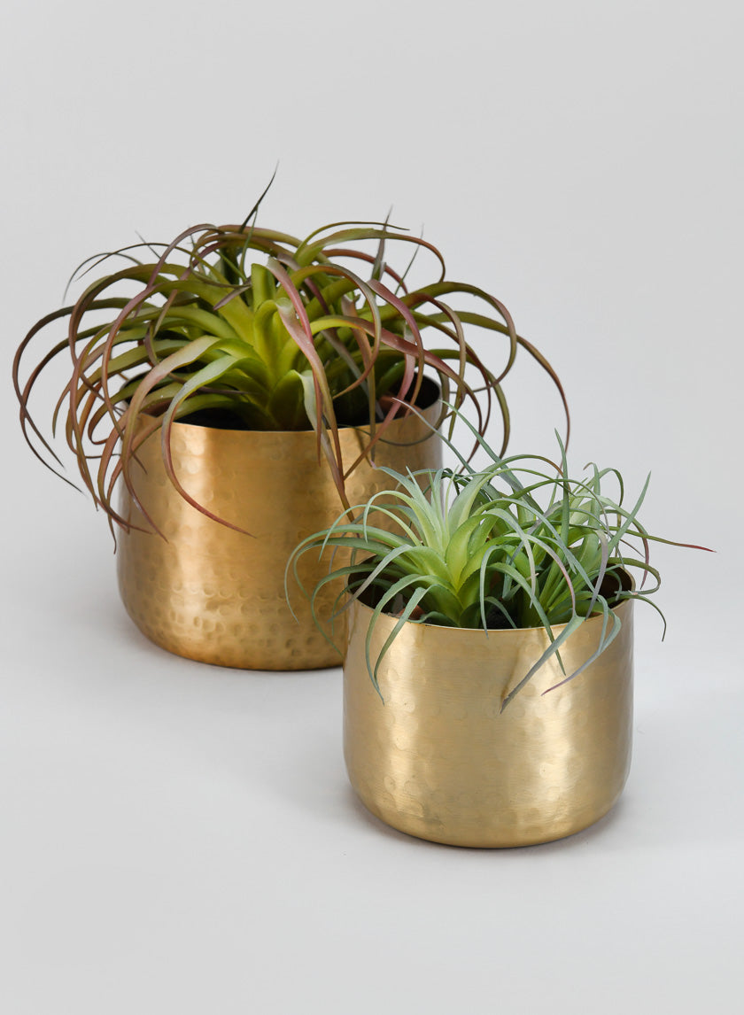 Mysore Brass Look Aluminum Pot Decor Jamali-garden