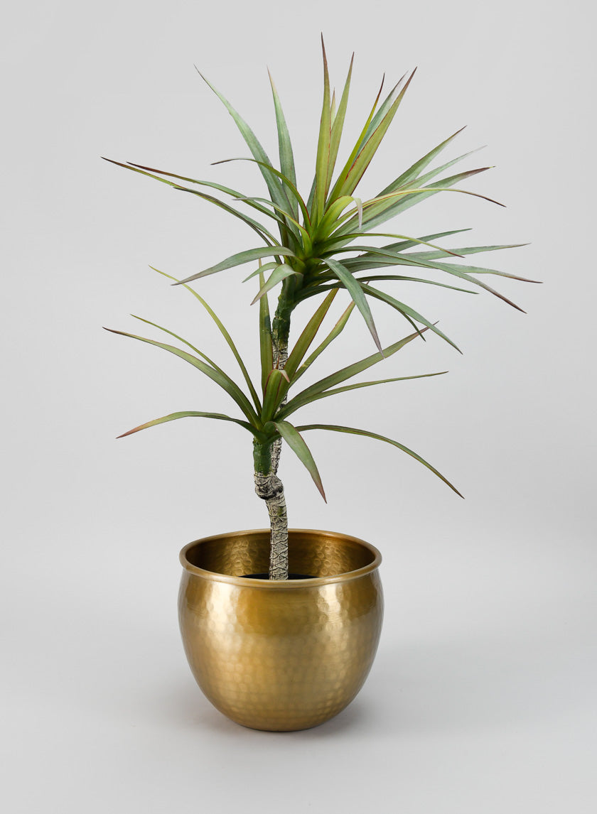 9in Wide Devdas Brass Look Aluminum Indoor Garden Pot, Medium Decor Jamali-garden