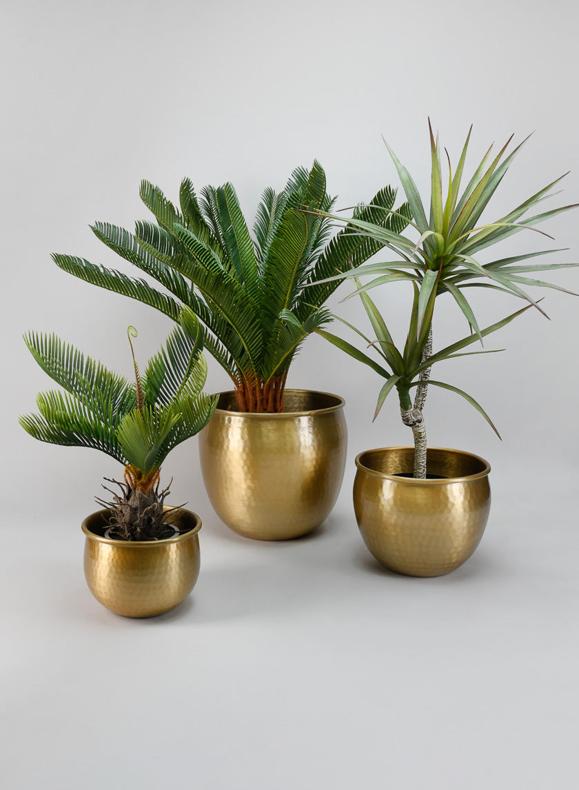 10.75in Wide Devdas Brass Look Aluminum Indoor Garden Pot, Large Decor Jamali-garden