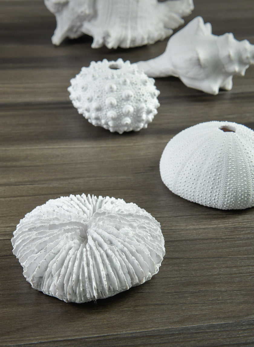 Artificial White Sea Urchins, Set of 3 Decor Jamali-garden