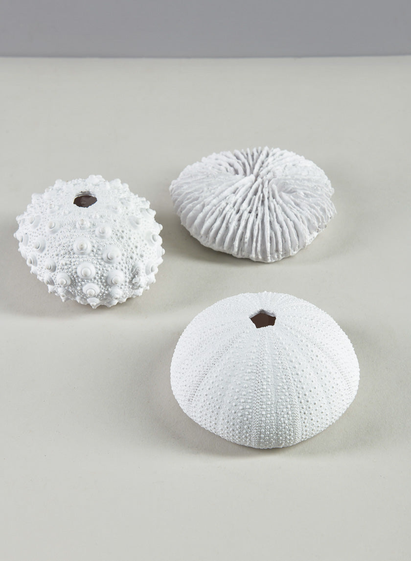 Artificial White Sea Urchins, Set of 3 Decor Jamali-garden