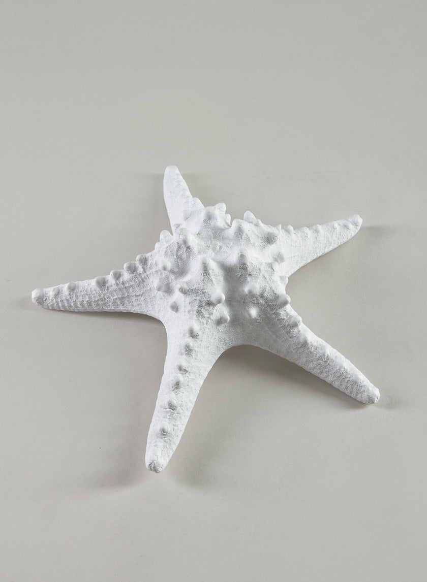 9in Long Artificial Giant White Knobby Starfish Decor Jamali-garden