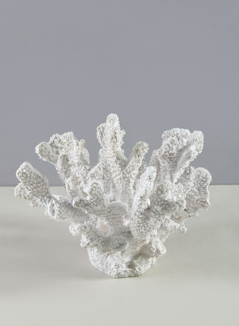 6in Long Artificial White Finger Coral Decor Jamali-garden