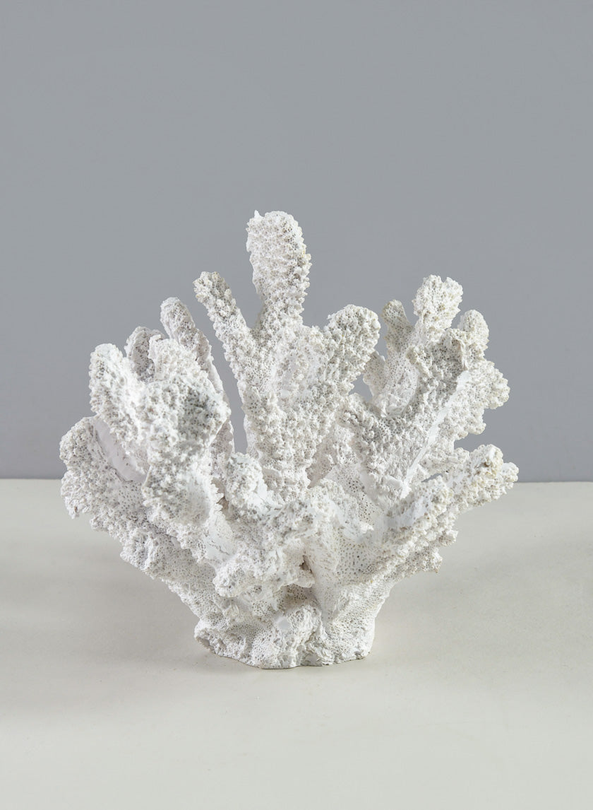 6in Long Artificial White Finger Coral Decor Jamali-garden