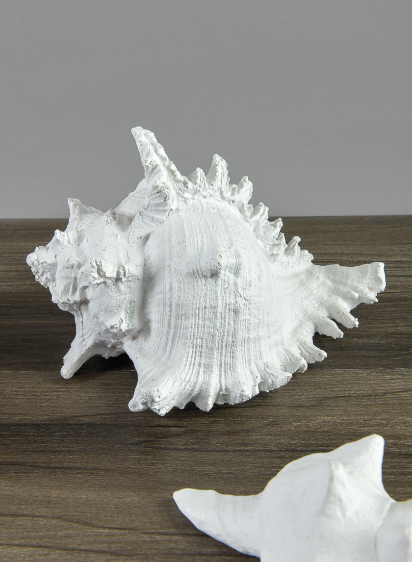 7.5in Long Artificial Giant Murex Seashell Decor Jamali-garden