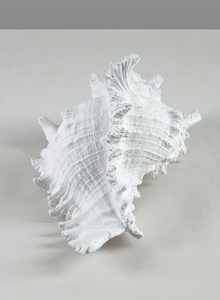 7.5in Long Artificial Giant Murex Seashell Decor Jamali-garden