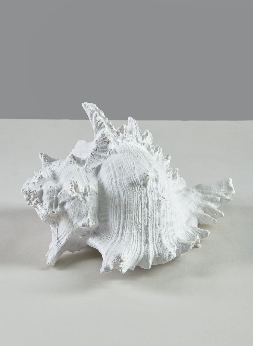 7.5in Long Artificial Giant Murex Seashell Decor Jamali-garden