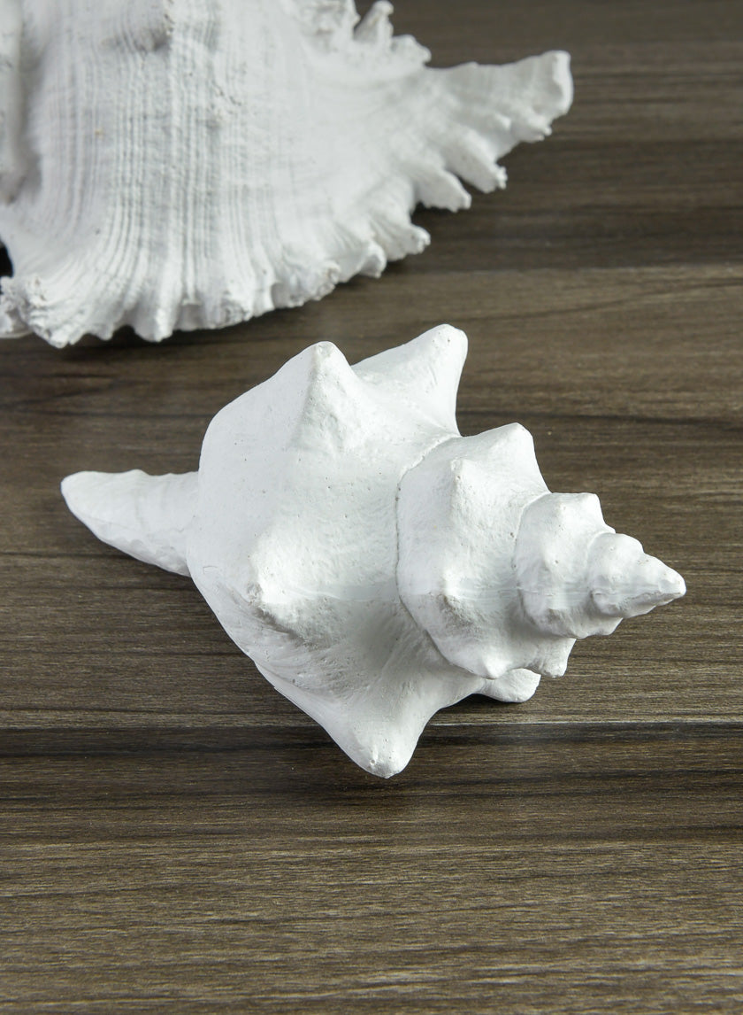 5.5in Long Artificial Florida Horse Conch Seashell Decor Jamali-garden