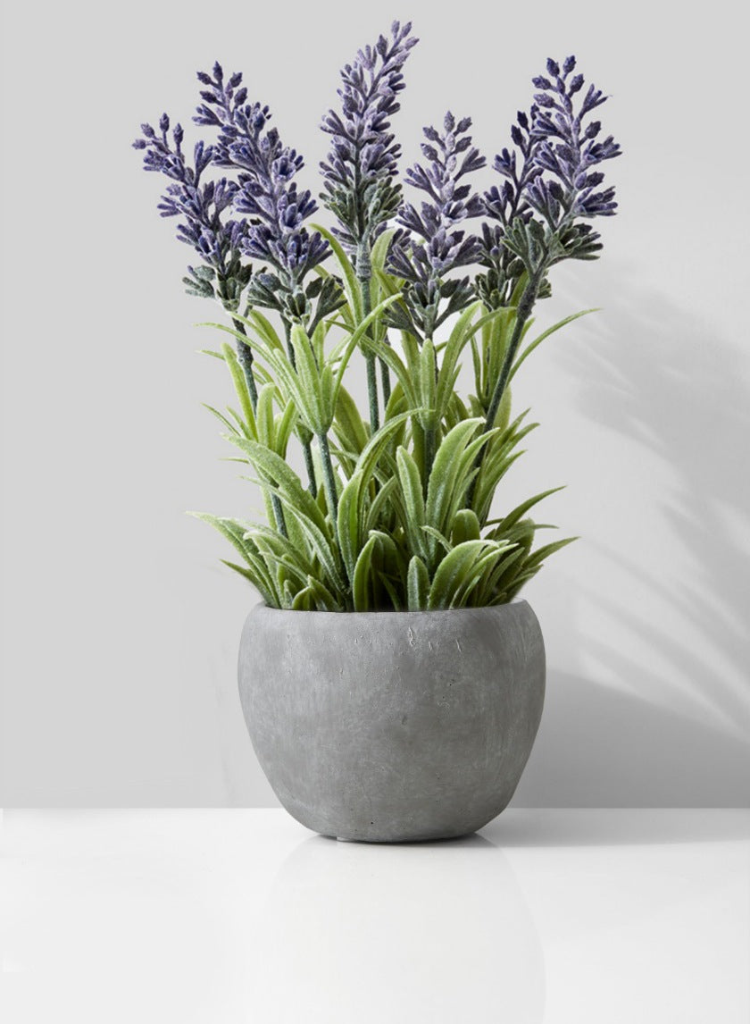 Atelier Cement Fishbowl Vase Decor Jamali-garden