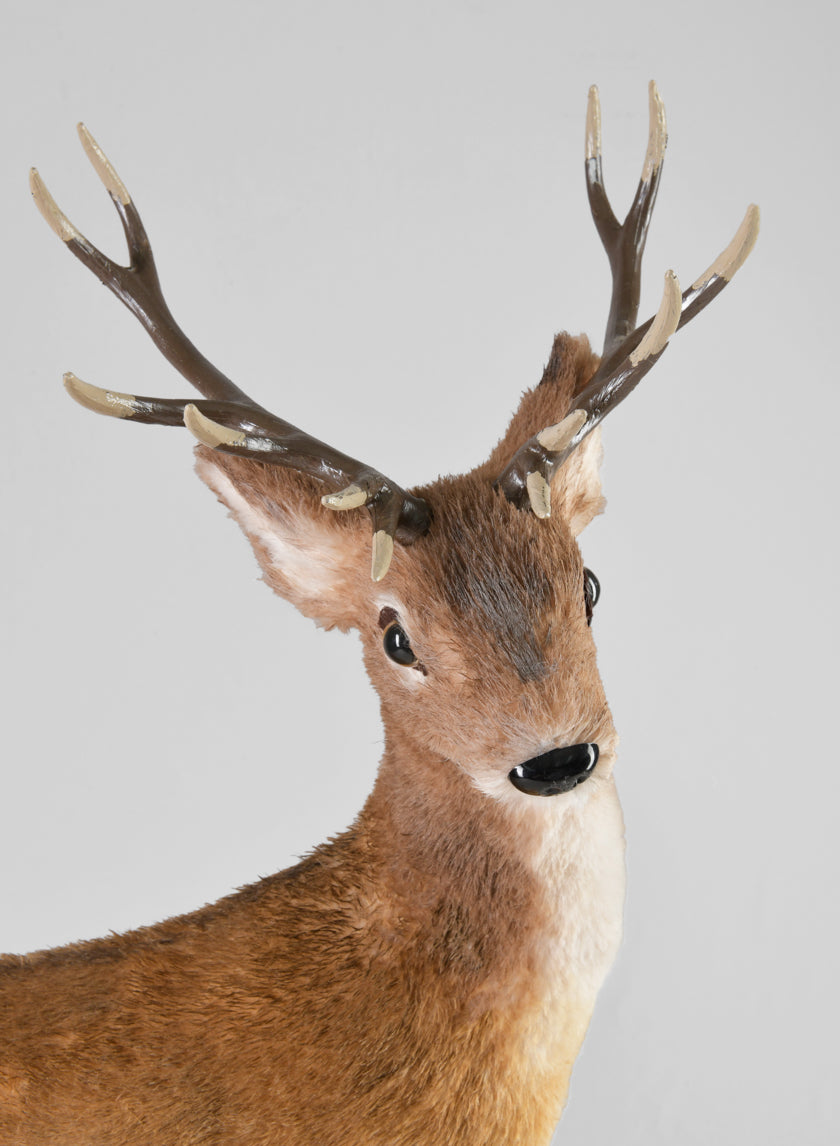 22in Natural Deer Decor Jamali-garden