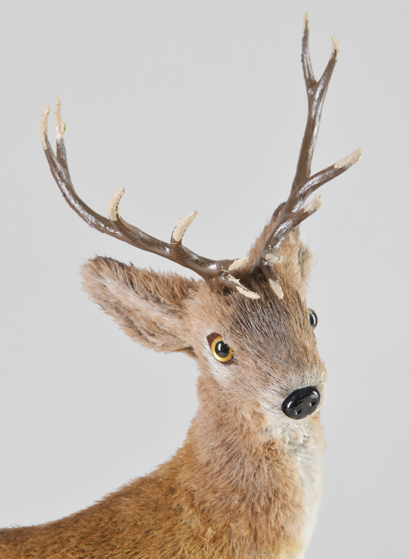 16in Tall Natural Deer Decor Jamali-garden