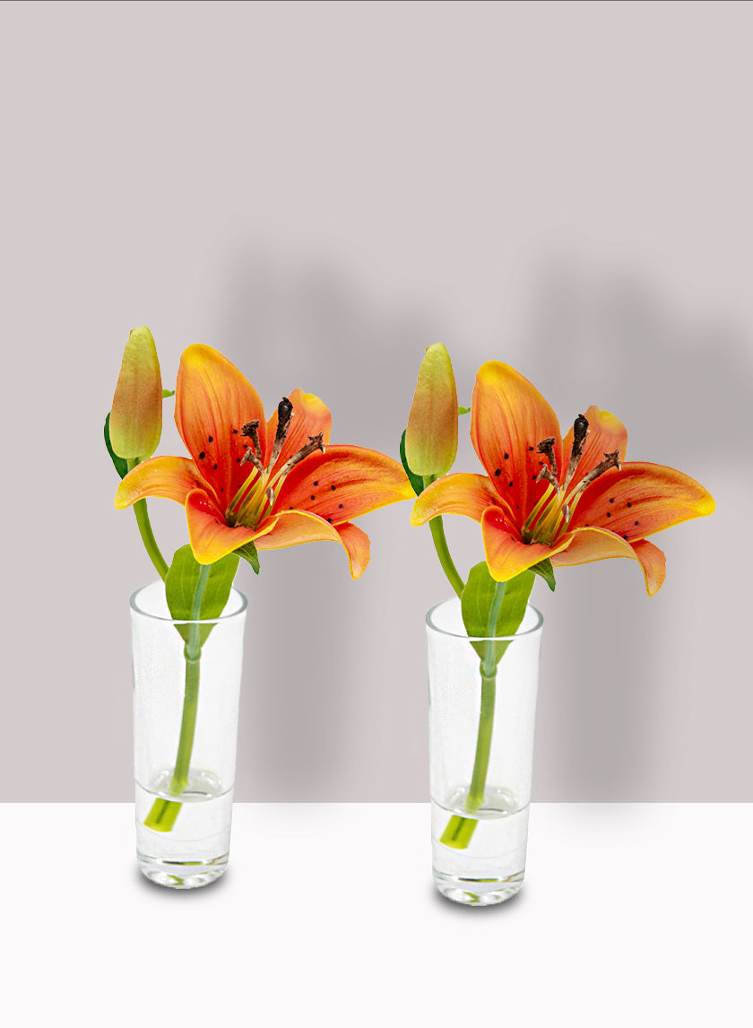 Burnt Orange Lily &amp; Bud in Clear Shot Glass, Set of 2 Decor Jamali-garden