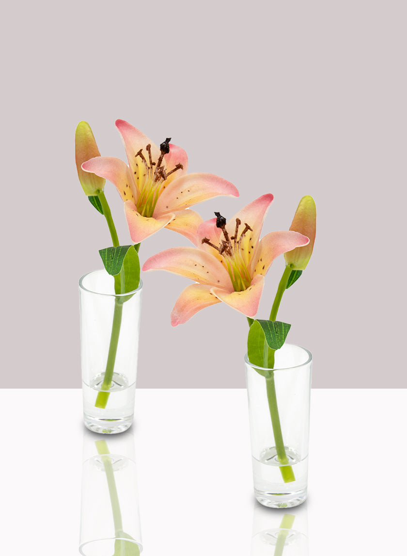 Pink Lily &amp; Bud in Clear Shot Glass, Set of 2 Decor Jamali-garden