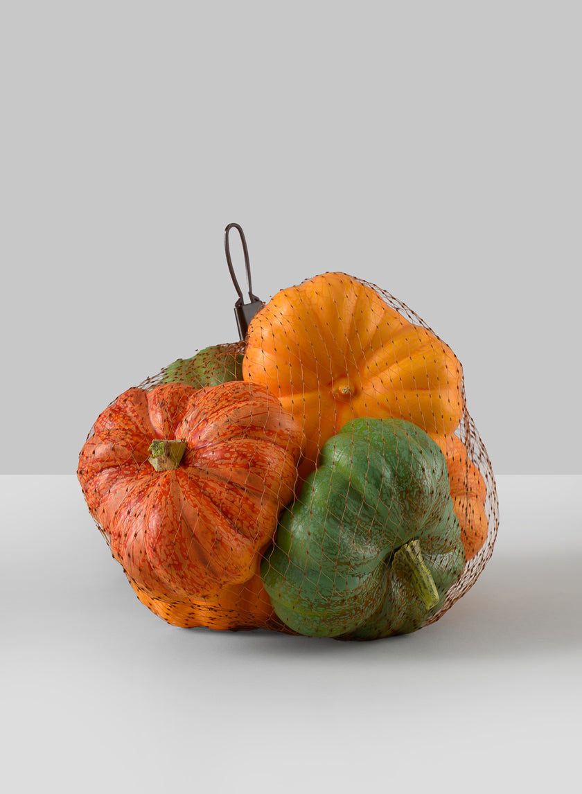 Fresh Farm Multi Color Mini Pumpkins, Bag of 6 Decor Jamali-garden