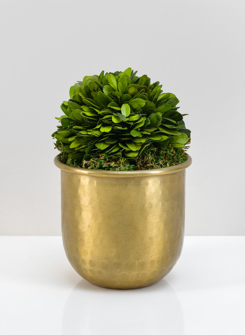 LuckNow Brass look Aluminum Pot Decor Jamali-garden