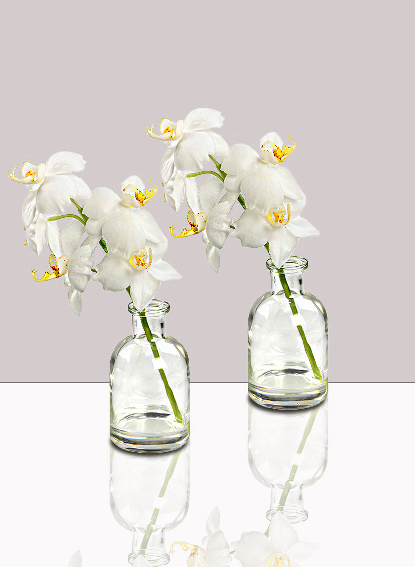 White Phalaenopsis Orchid in Glass Medicine Bottle, Set of 2 Decor Jamali-garden